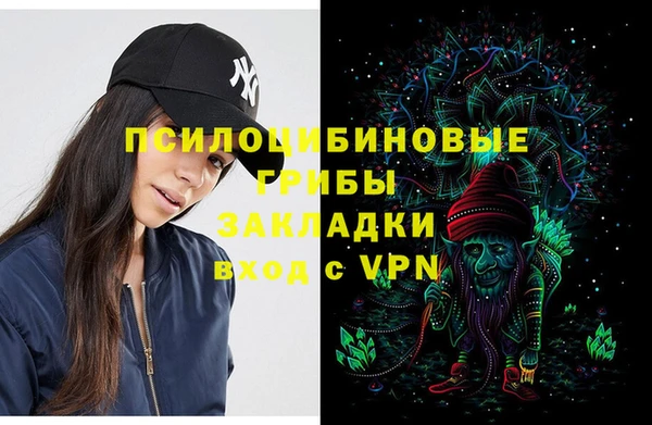 Альфа ПВП Коряжма